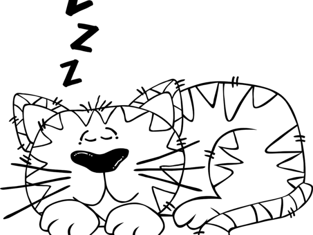 Pourquoi Les Hommes Ronflent Ils Plus Cremerconsulting